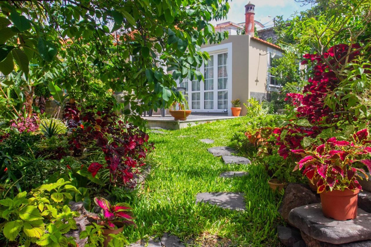 Villa Casa Da Bungavillia à Machico  Extérieur photo