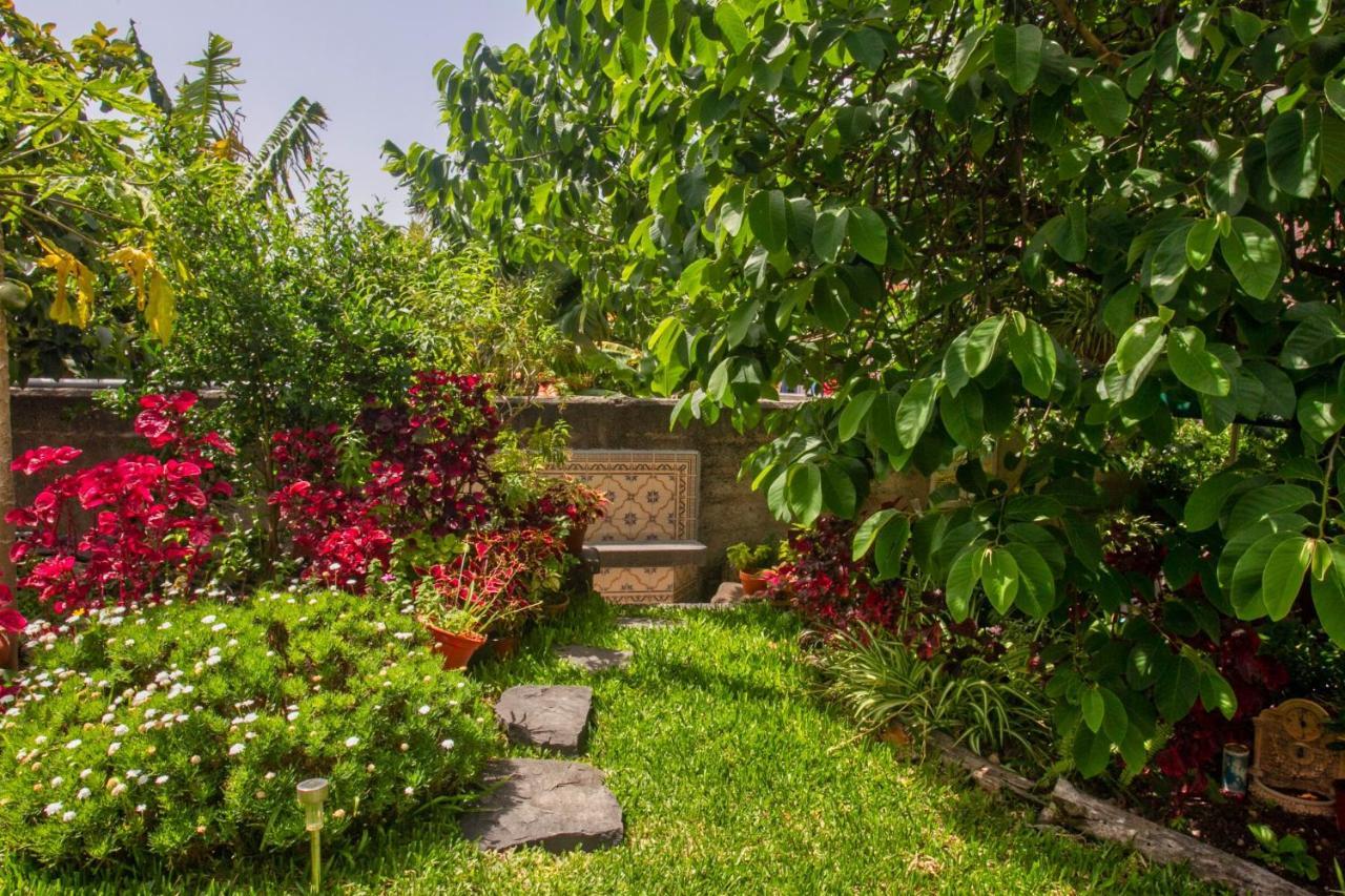 Villa Casa Da Bungavillia à Machico  Extérieur photo