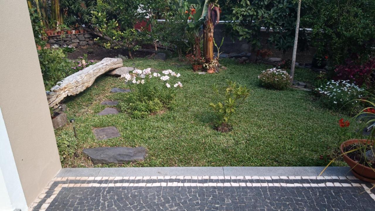 Villa Casa Da Bungavillia à Machico  Extérieur photo